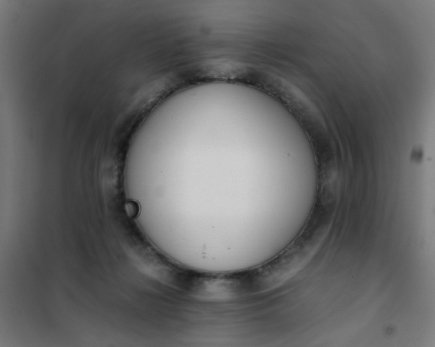 X0000101680268200807241353