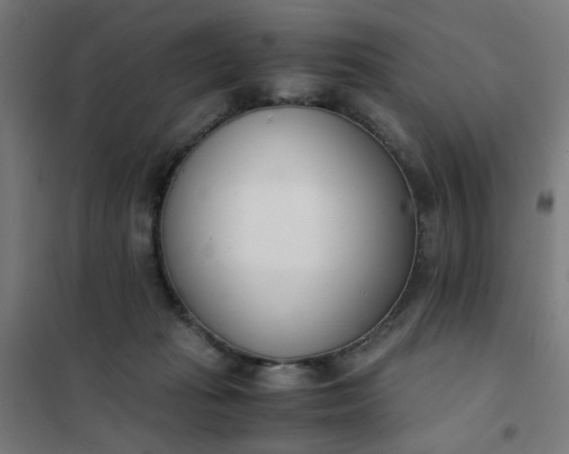 X0000101680269200807241353