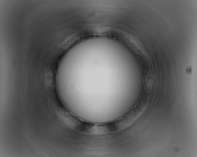 X0000101680270200807241353