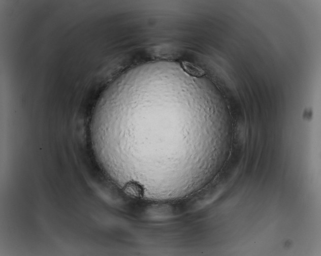 X0000101680271200807241353