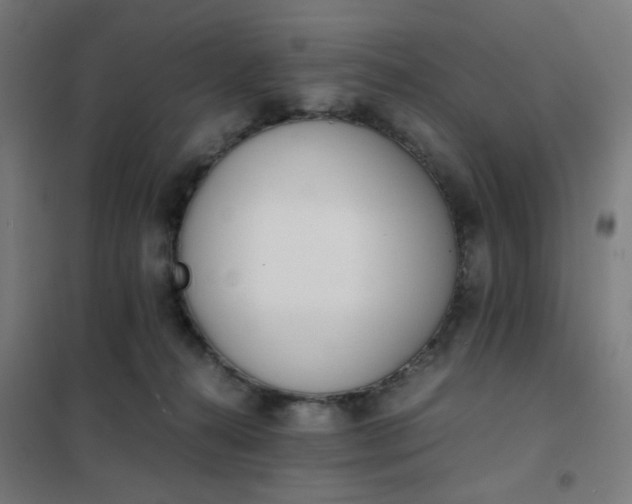 X0000101680272200807241353