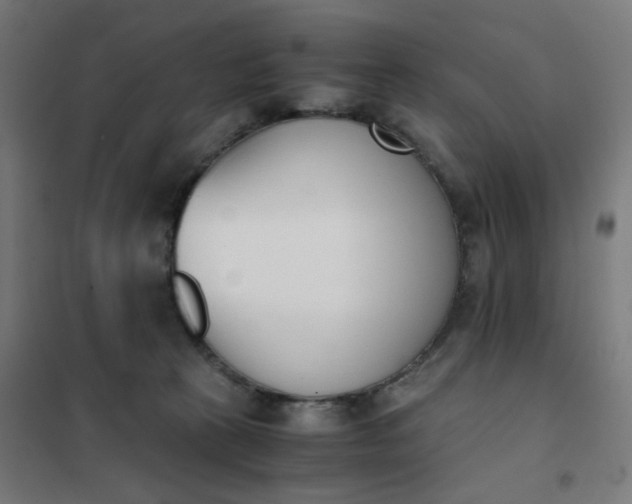 X0000101680273200807241353