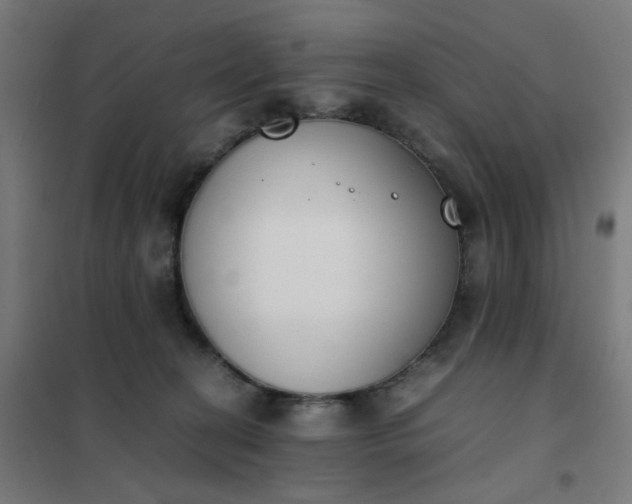 X0000101680274200807241353