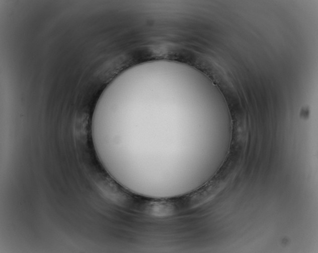 X0000101680275200807241353