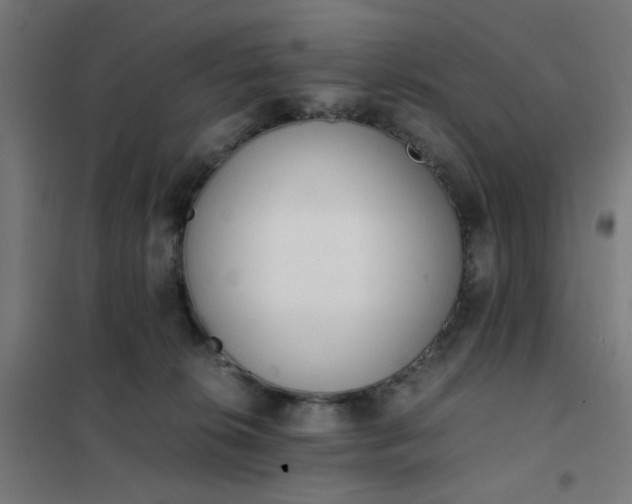 X0000101680276200807241353