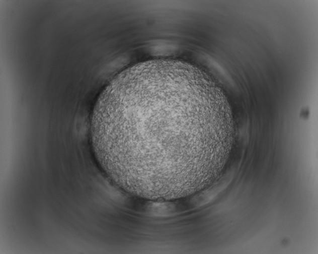 X0000101680277200807241353