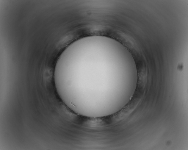 X0000101680278200807241353