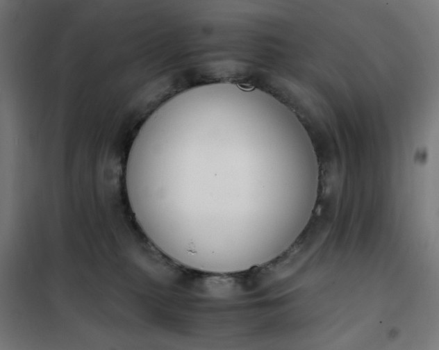 X0000101680279200807241353