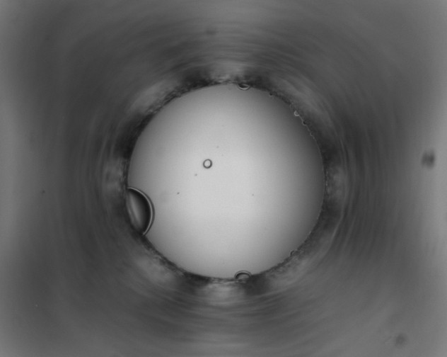 X0000101680280200807241353