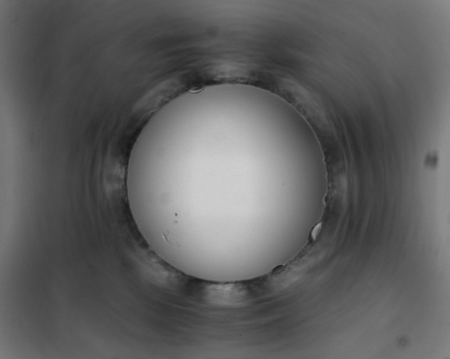 X0000101680281200807241353