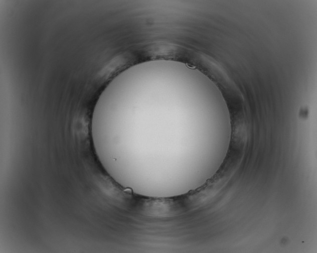 X0000101680282200807241353