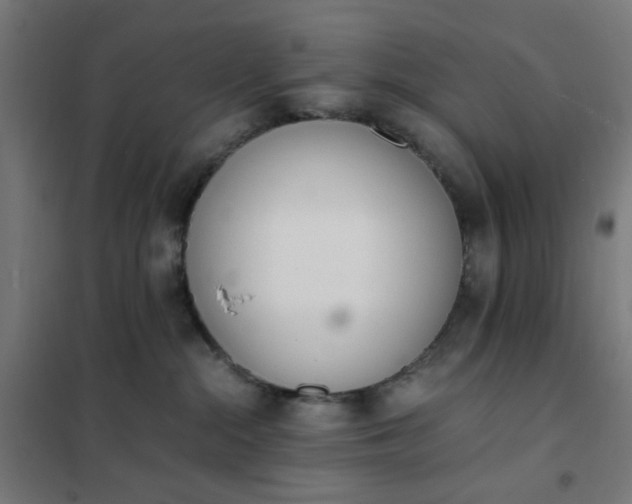 X0000101680284200807241353