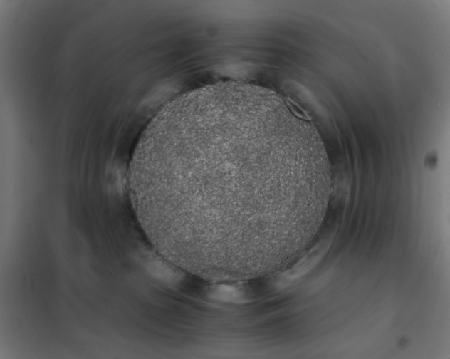 X0000101680285200807241353