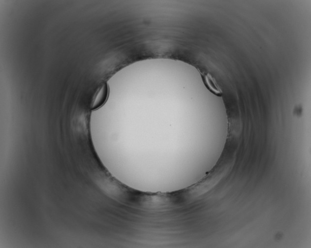 X0000101680286200807241353