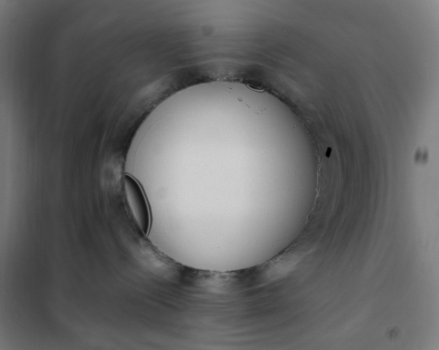 X0000101680288200807241353