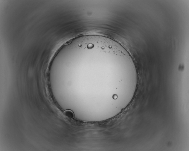 X0000101680289200807241352