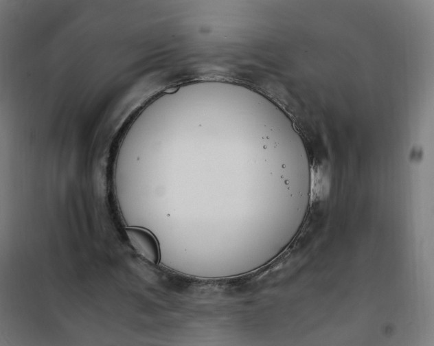 X0000101680291200807241352