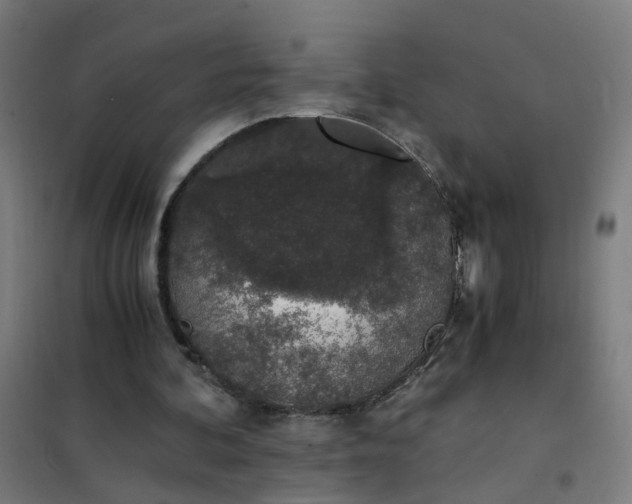 X0000101680292200807241352