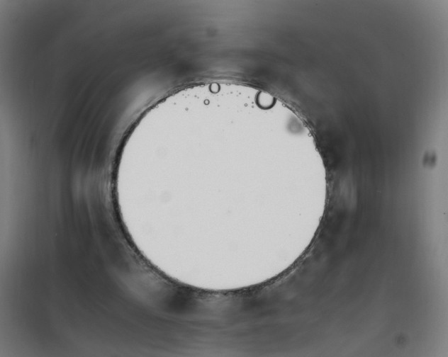 X0000101680293200807241352