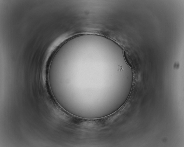 X0000101680294200807241352