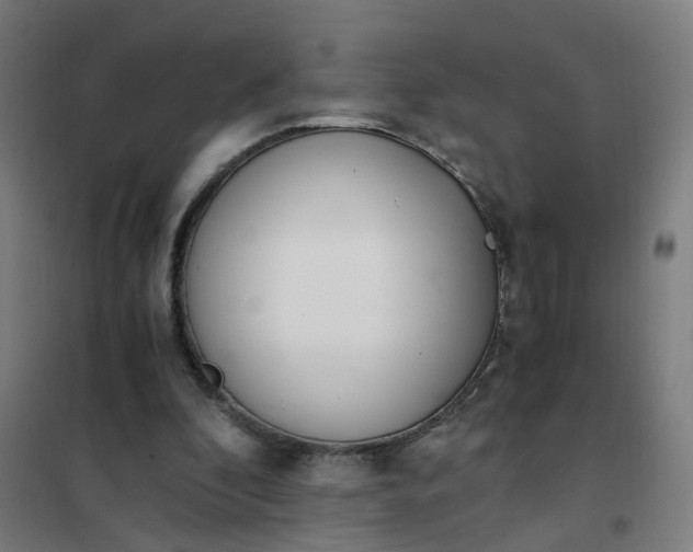 X0000101680296200807241352