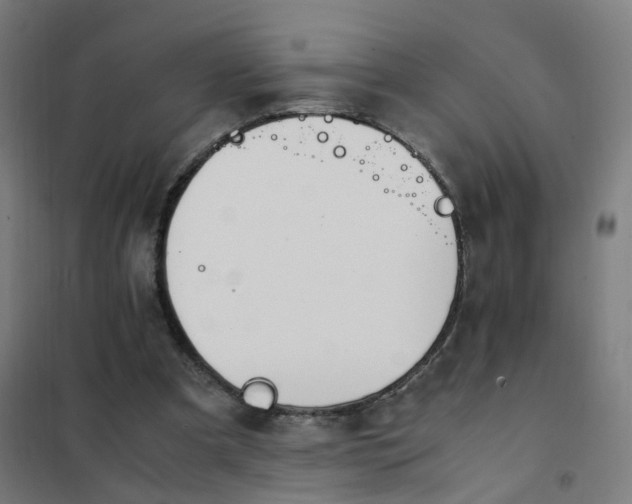 X0000101680297200807241352