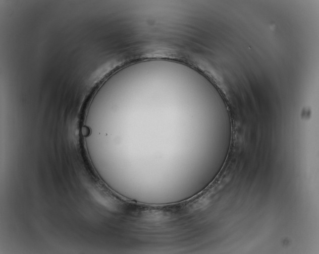 X0000101680298200807241352