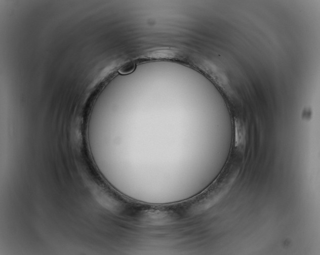 X0000101680300200807241352