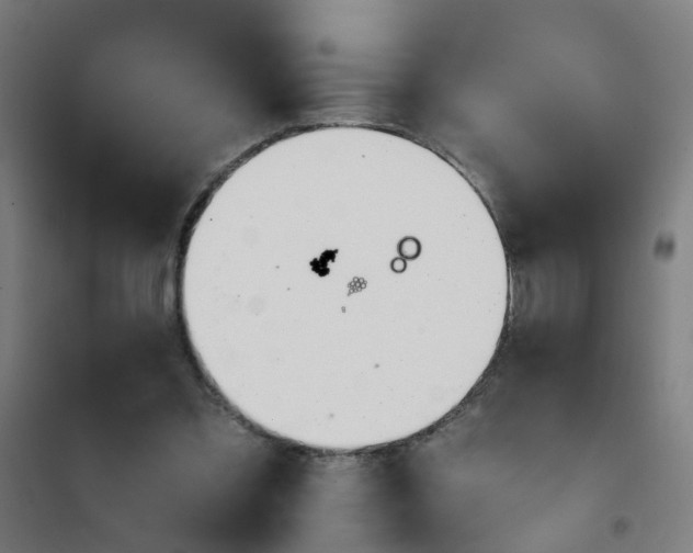 X0000101680301200807241352