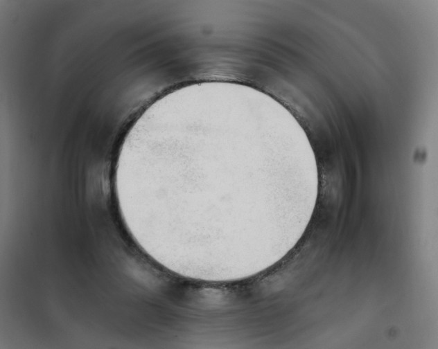 X0000101680302200807241352