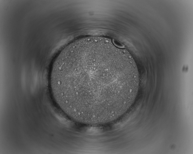 X0000101680303200807241352