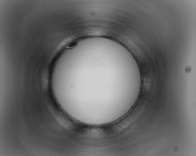 X0000101680304200807241352