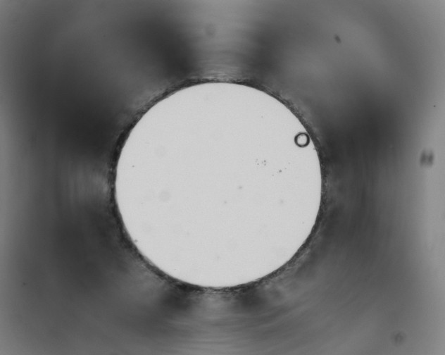 X0000101680305200807241352