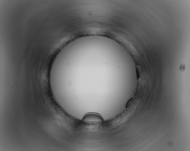 X0000101680306200807241352