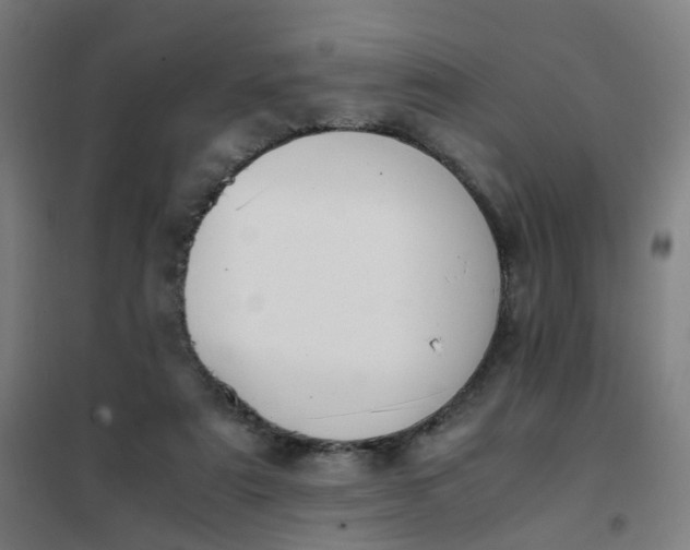 X0000101680307200807241352