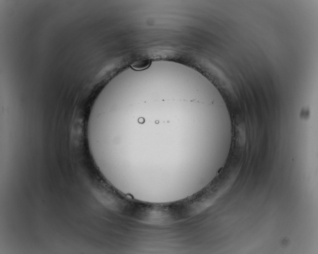 X0000101680308200807241352