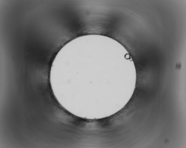 X0000101680309200807241352