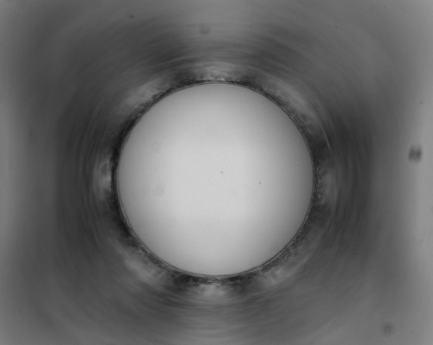 X0000101680310200807241352