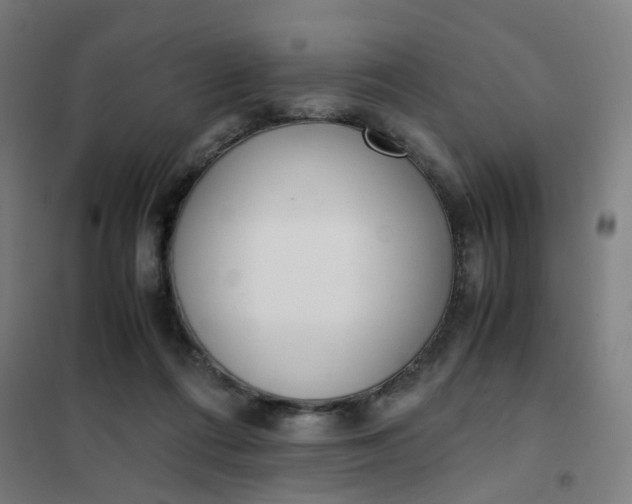 X0000101680312200807241352