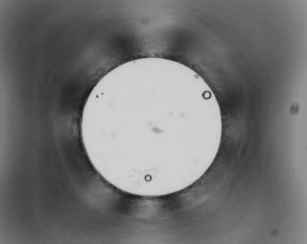 X0000101680313200807241352