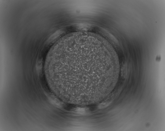 X0000101680314200807241352