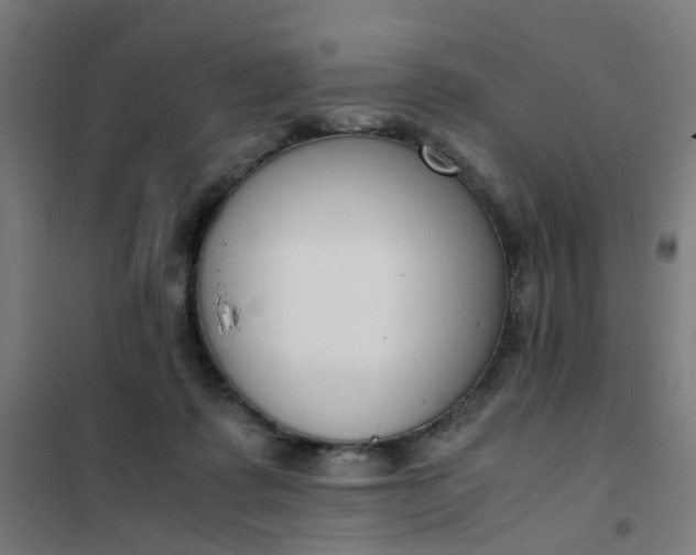 X0000101680315200807241352