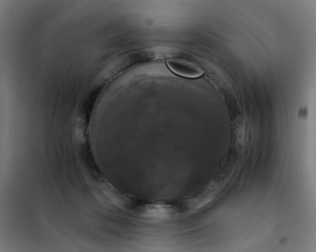 X0000101680316200807241352