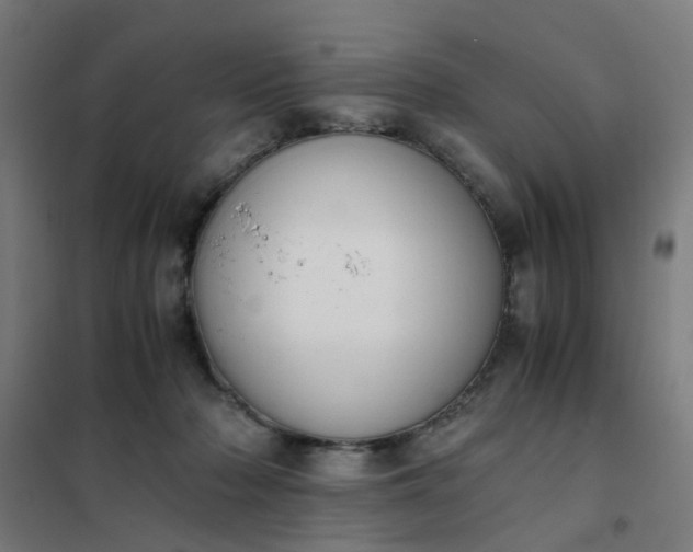 X0000101680318200807241352