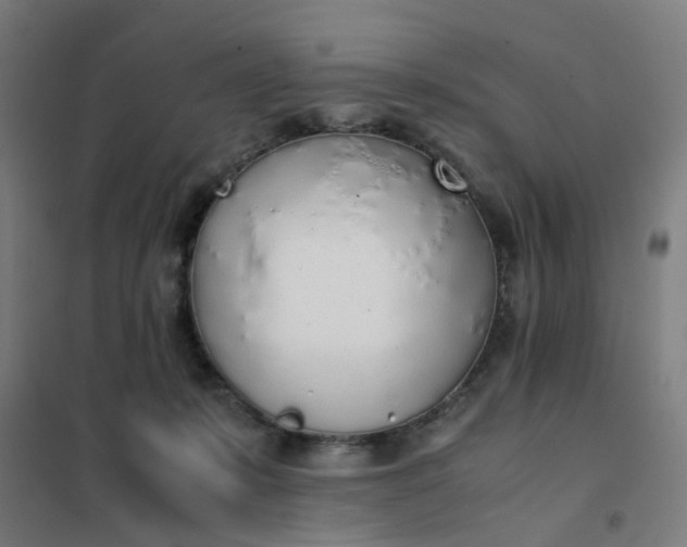 X0000101680319200807241352