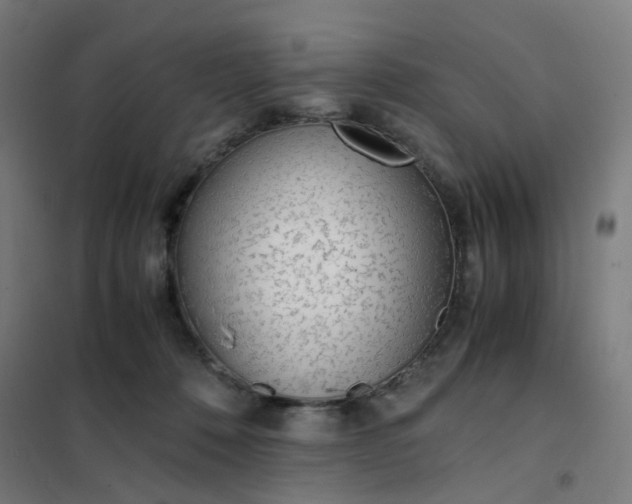 X0000101680320200807241352