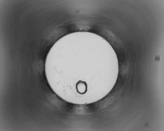 X0000101680321200807241352