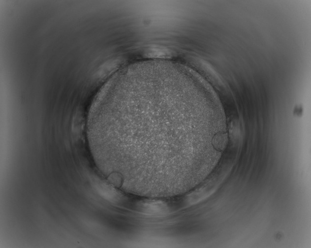 X0000101680322200807241352