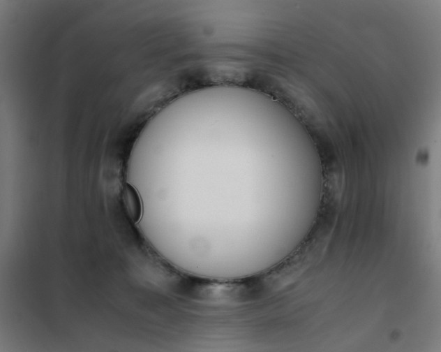 X0000101680323200807241352