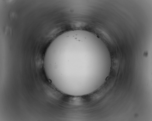 X0000101680324200807241352